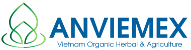 LOGO_ANVIEMEX_OK-scaled LOGO_ANVIEMEX_OK-scaled